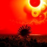 Apuntes sobre la escritura de La tragedia del girasol